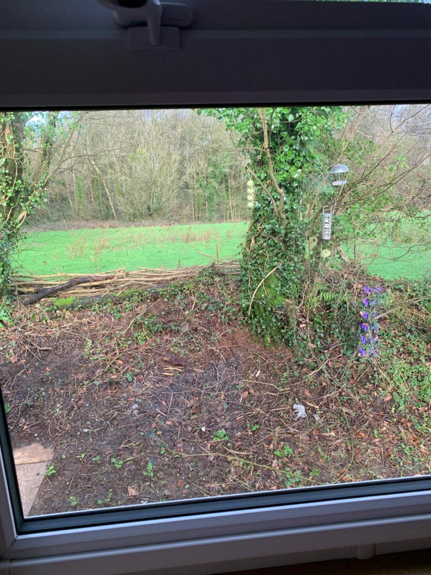 4 Devon Country, Bideford Bay Holiday Park Bucks Mills ภายนอก รูปภาพ