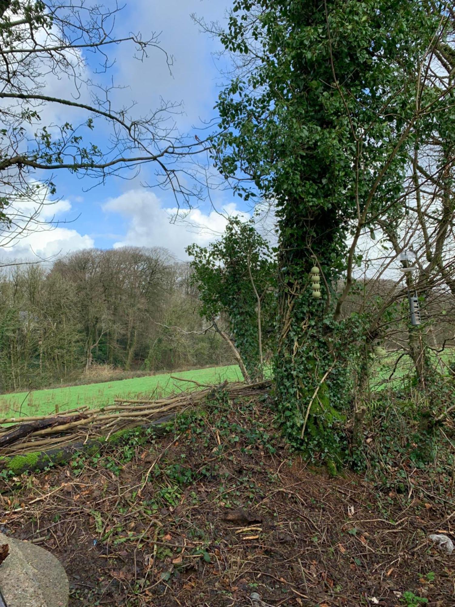 4 Devon Country, Bideford Bay Holiday Park Bucks Mills ภายนอก รูปภาพ